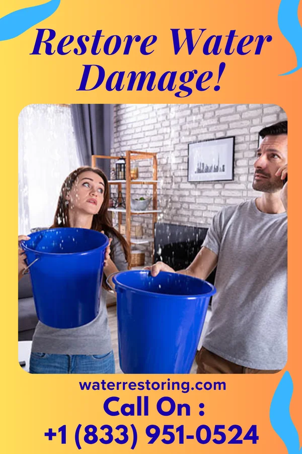 water restoration Prime Sewage Cleanup Company Sellersburg