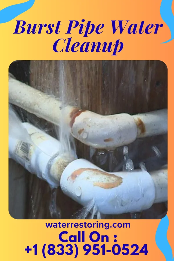 Burst Pipe Water Cleanup in Sellersburg, IN