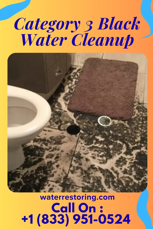 Category 3 Black Water Cleanup in Sellersburg, IN