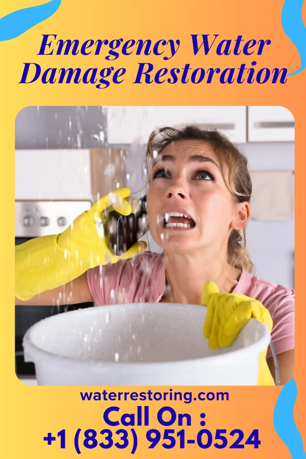 Emergency Water Damage Restoration in Sellersburg, IN