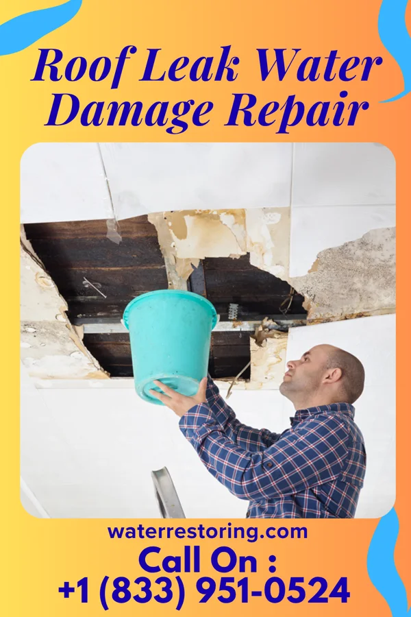 Roof Leak Water Damage Repair in Sellersburg, IN